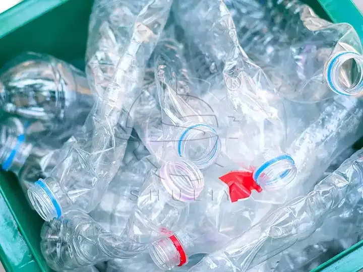 PET bottles with labels removed